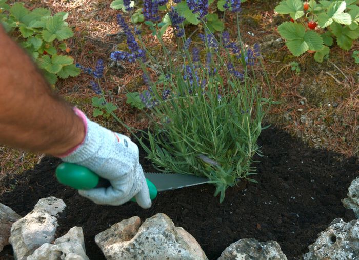 Multipurpose Shovel Root Digger 