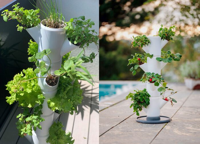 Sissi Jordgubbsplanteringssystem 