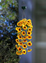 LED h&auml;ngande korg med solrosor 