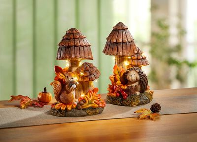 H&ouml;stens svampar, upplysta 