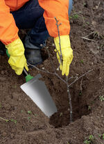Multipurpose Shovel Root Digger