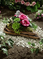 hjärtformat arrangemang i rotting 