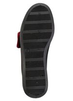 Kardborresko med vacker b&aring;rd 