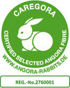 BADERsv_SE1Logo_Caregora