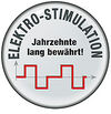 BADERsv_SE1Logo_Elektro-Simulation