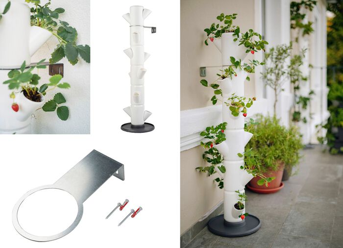 Sissi Jordgubbsplanteringssystem 