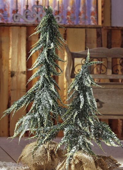 Julgranar i en jutep&aring;se 