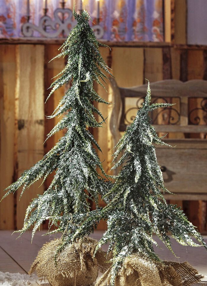 Julgranar i en jutep&aring;se 