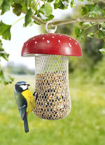 Matningsstation för flugsvampar 