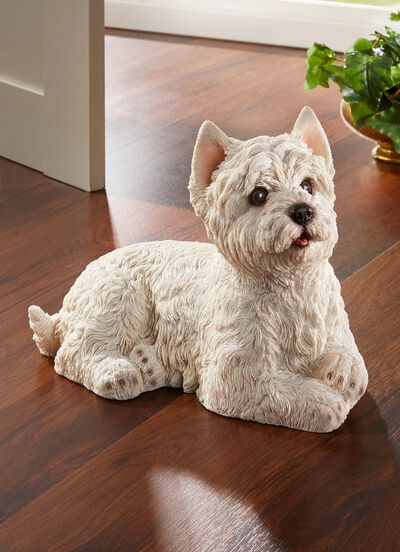 West Highland Terrier 