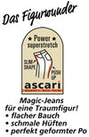 BADERsv_SE1Power_Ascari_2014H_N_detail
