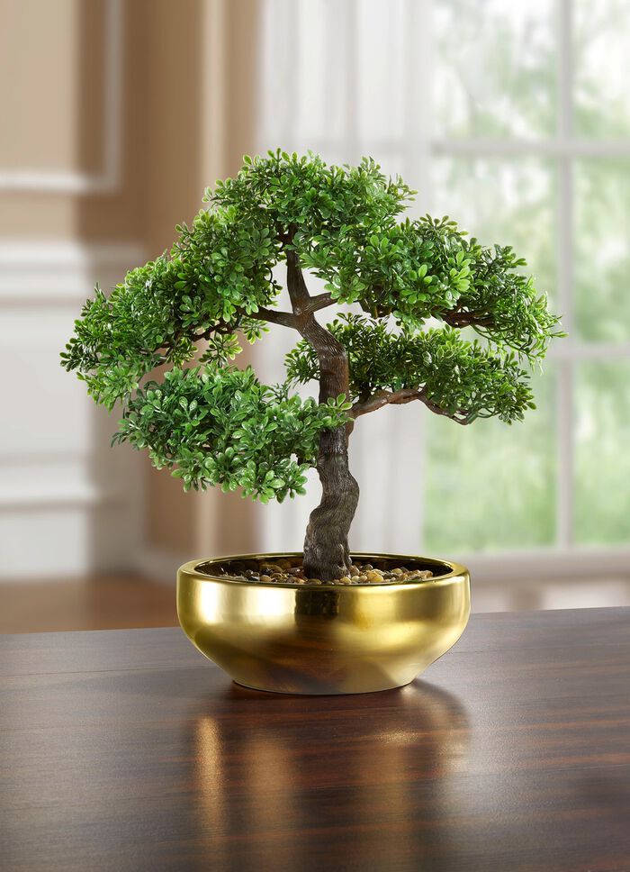 Bonsai i en keramisk skål 