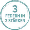 BADERsv_SE1Logo_3Federn
