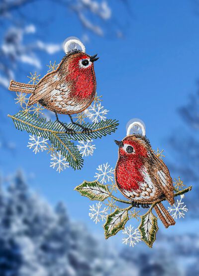 F&ouml;nsterbild gjord av Plauenspets, set om 2 