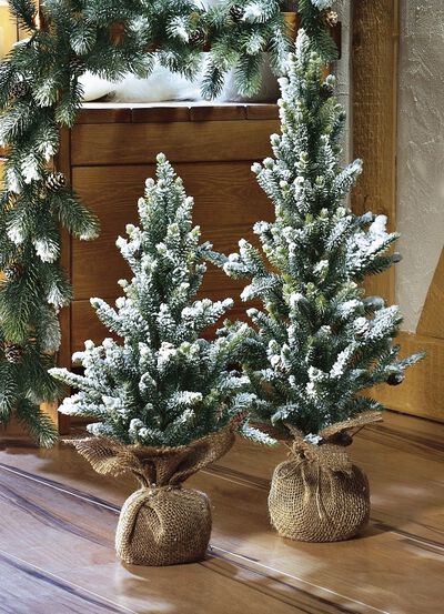 Julgranar i en jutepåse 