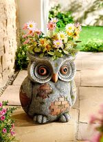 Ugglav&auml;xtkruka av v&auml;derbest&auml;ndig magnesia 