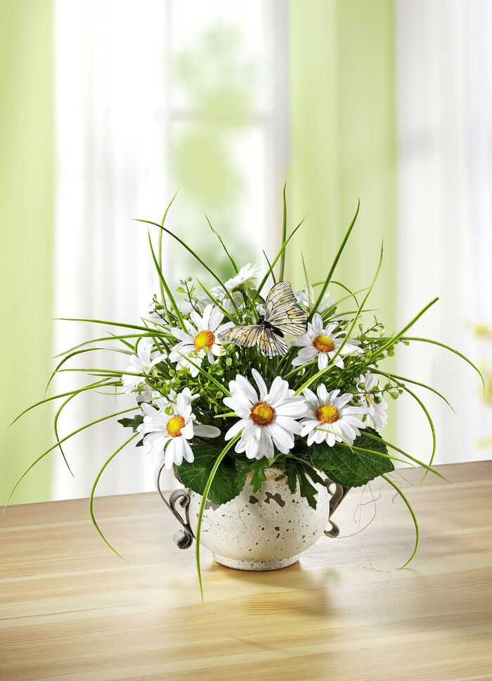 Marguerite arrangemang i en kruka 
