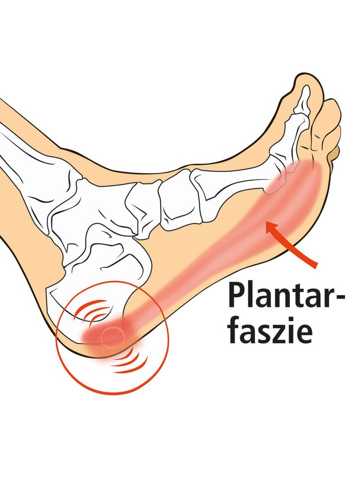 Vital Comfort fascia fotrulle 