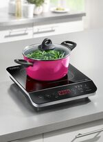 Induktionsh&auml;ll fr&aring;n CASO 