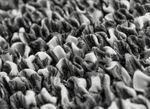 Bielastiska stretchöverdrag i mikrofiber ANTHRAZIT
