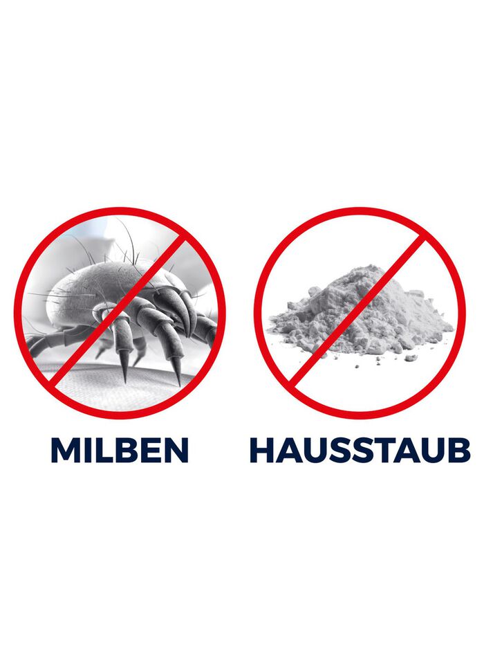 Sladdl&ouml;s kvalsterdammsugare 