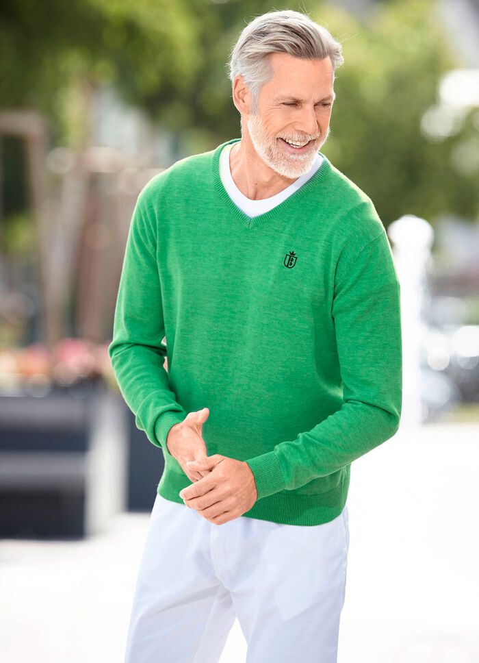 Moderiktig V-ringad tr&ouml;ja i 6 f&auml;rger 