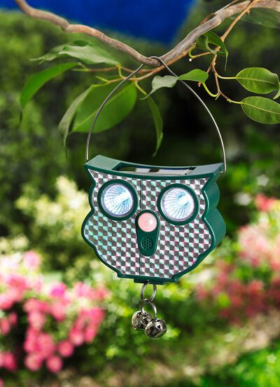 Solar Ultrasonic Djuravvisande Uggla 