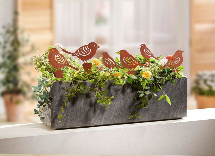 Tr&auml;dg&aring;rdsp&aring;lar "F&aring;glar", 6 st 