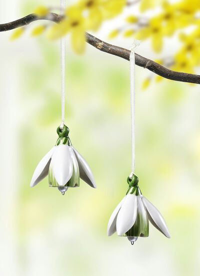 Blomklockor i ett set om 2 