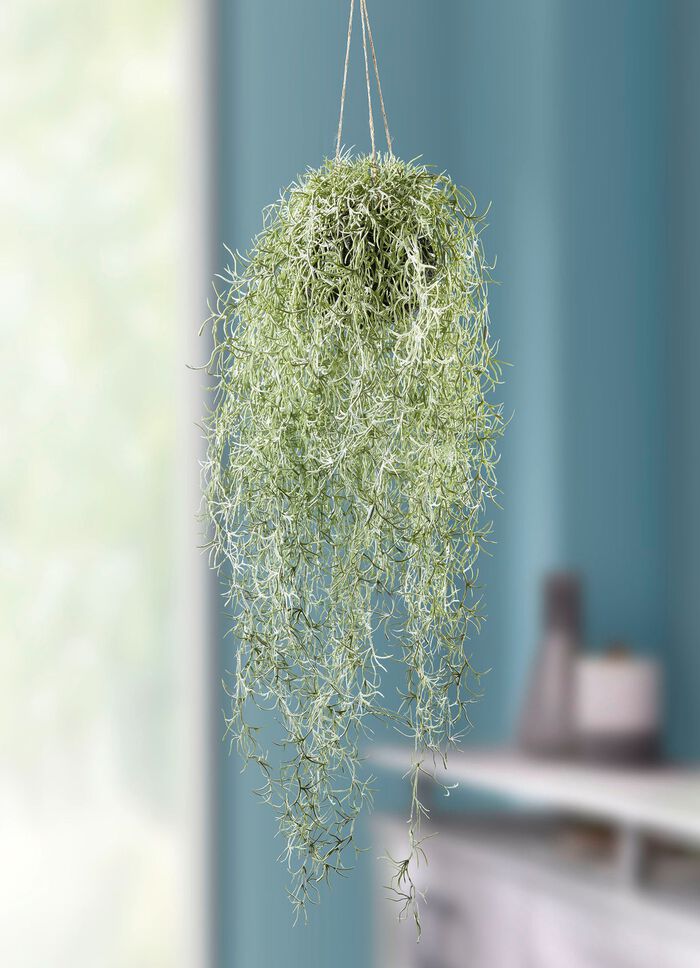 Verklighetstrogen mossh&auml;ngare 