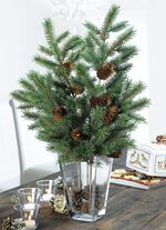 Grankvistar, upps&auml;ttning om 2 