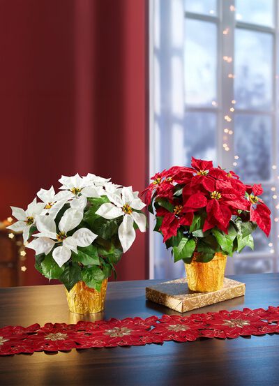 Julstj&auml;rna i kruka 