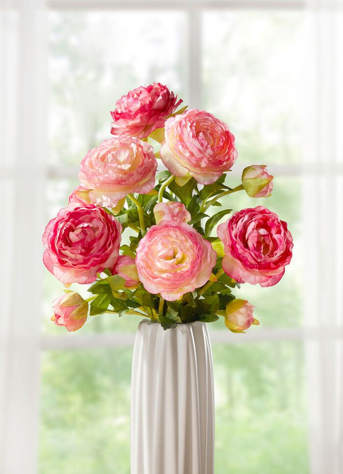 Ranunkelgren, set om 6 