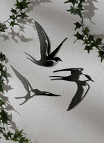 Wandeko Swallow, set om 3 