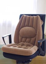 Uppbl&aring;sbar sittdyna 