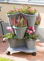 V&auml;xttorn "Trifoglio", gr&aring;tt 