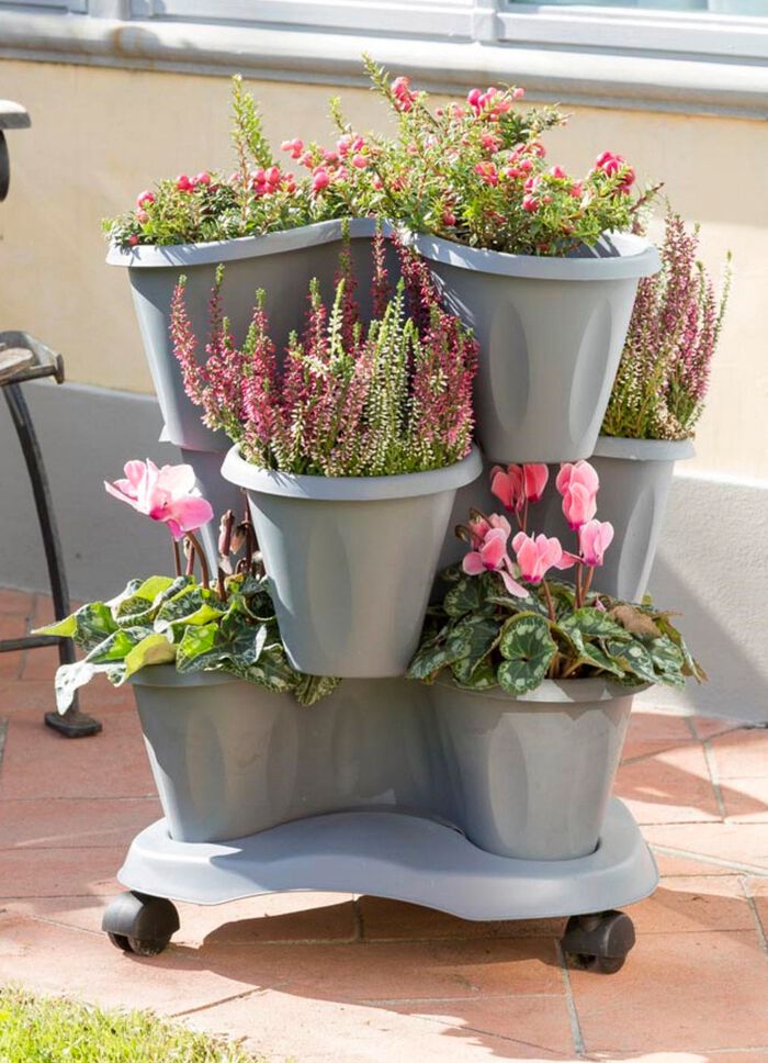 V&auml;xttorn "Trifoglio", gr&aring;tt 