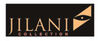 BADERsv_SE1JilaniCollec_2005H_B_detail BADERsv_SE1JilaniCollec_2005H_B_detail