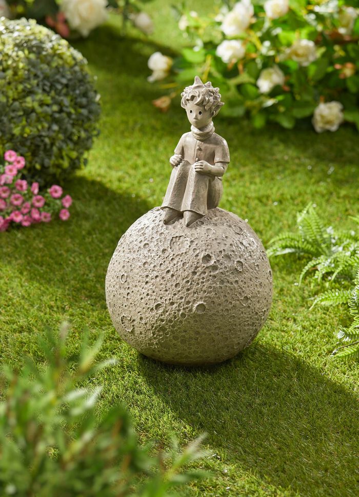 Den lille prinsen p&aring; m&aring;nen 