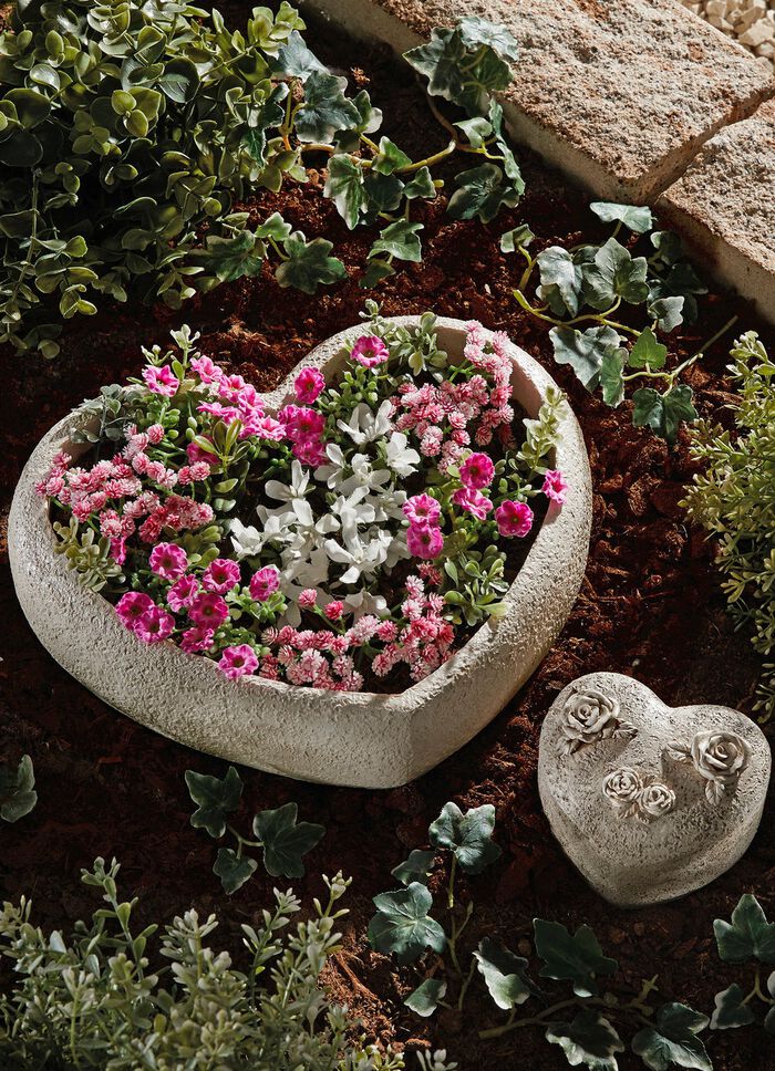 Hj&auml;rtplanter, 2-delad 