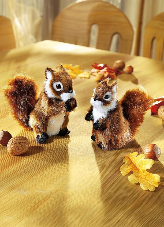 ekorrar, upps&auml;ttning av 2 