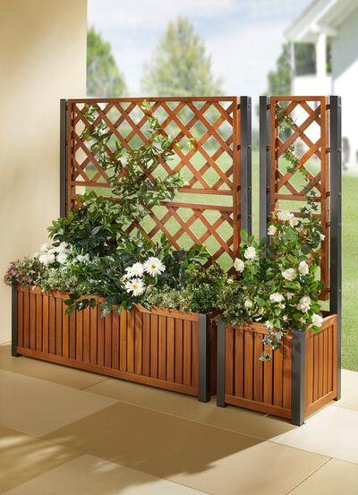 V&auml;xtl&aring;da med spalj&eacute; "Santorin", liten 