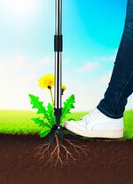 EASYmaxx ogr&auml;sstickare 