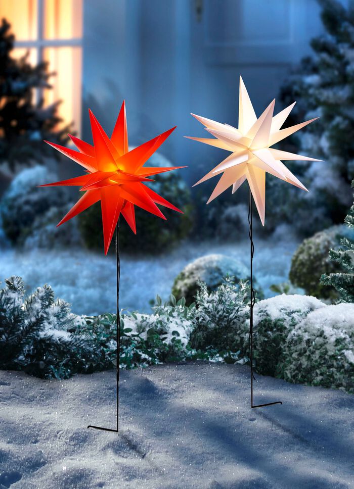 Tr&auml;dg&aring;rdsstake "Star" 