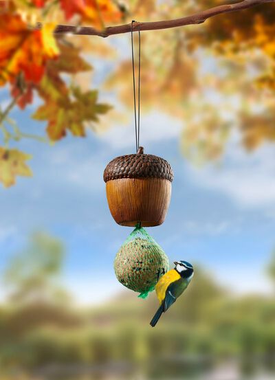 Ekollon fettbollsh&aring;llare f&ouml;r tr&auml;dg&aring;rd, balkong eller terrass 