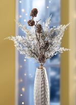 Thujagren med riktiga kottar 