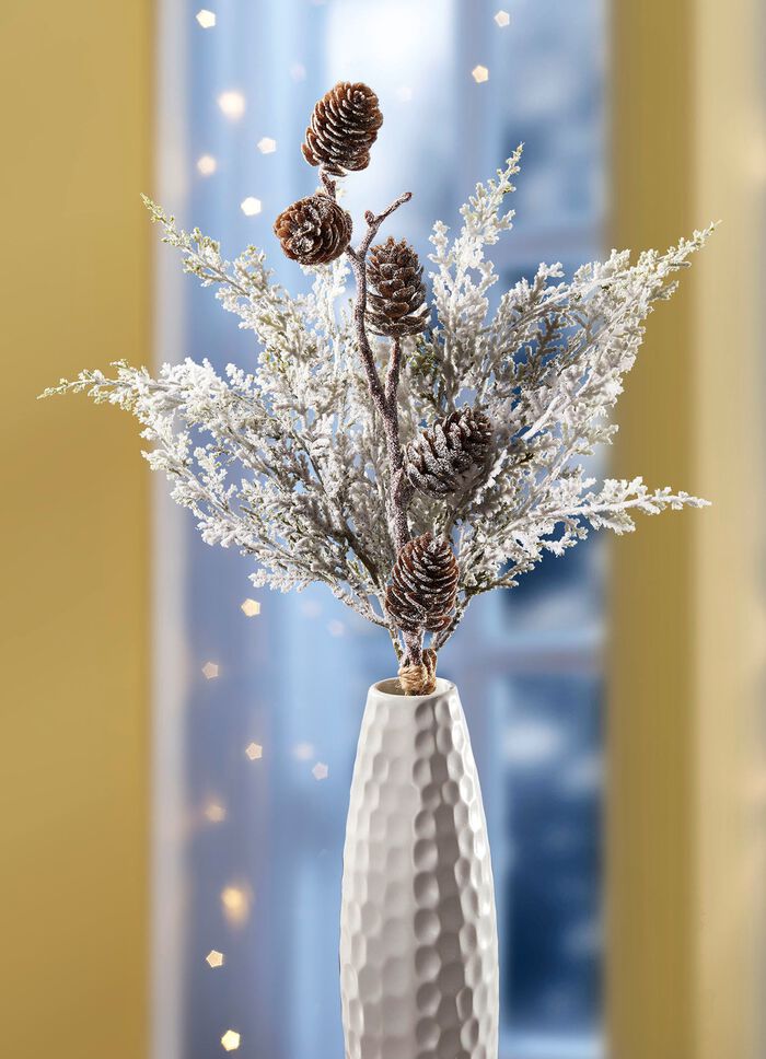 Thujagren med riktiga kottar 