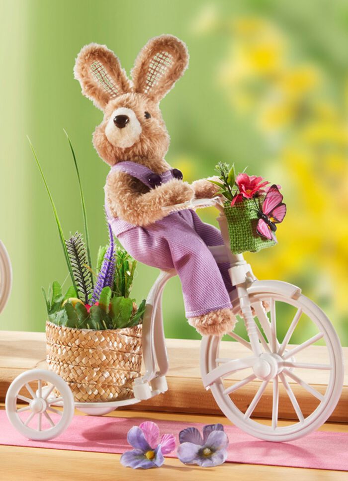 Kanin p&aring; cykel 