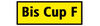 BADERsv_SE1bisCupF_detail
