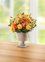 vildrosarrangemang i koppen 